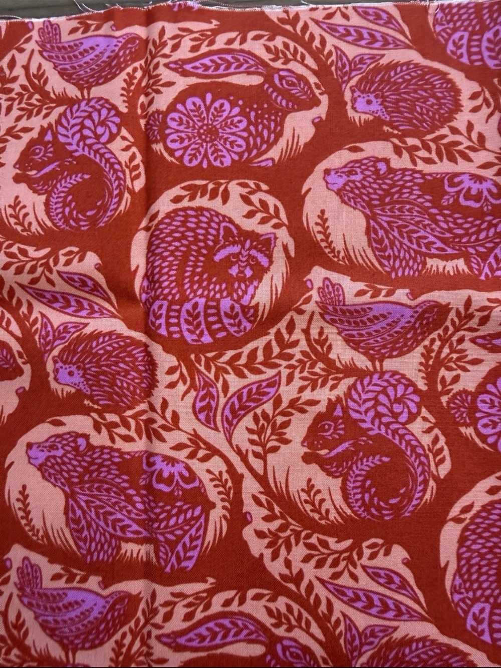 Tula Pink Slow & Steady Grandstand Quilting Cotton Orange Crush Rust Remnant